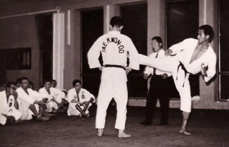 Ein Lehrer mit Rückenaufschrift Taekwon-Do führt einen Tritt gegen einen Partner aus, Schüler sitzen am Boden